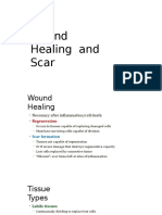 Wound Healing and Scar