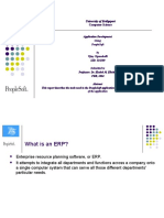 People Soft Overview