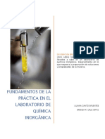 Laboratorios QuímicaInorgánica.pdf
