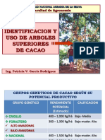 4 Seleccion Arboles-Productividad