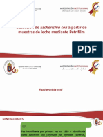 Detección de Escherichia Coli A Partir de Muestras de Leche Mediante Petrifilm