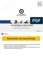 Clase 05 Sensibilidad y Motricidad DBIO 1039-1062