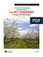 Sweet Cherries: in Oregon and Washington