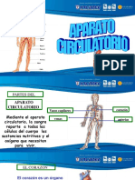 Circulatorio