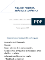 Anización Fonética, Morfosintáctica y Semántica PDF