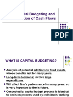 Capital Budgeting and Cash Flows Estimation (2008)