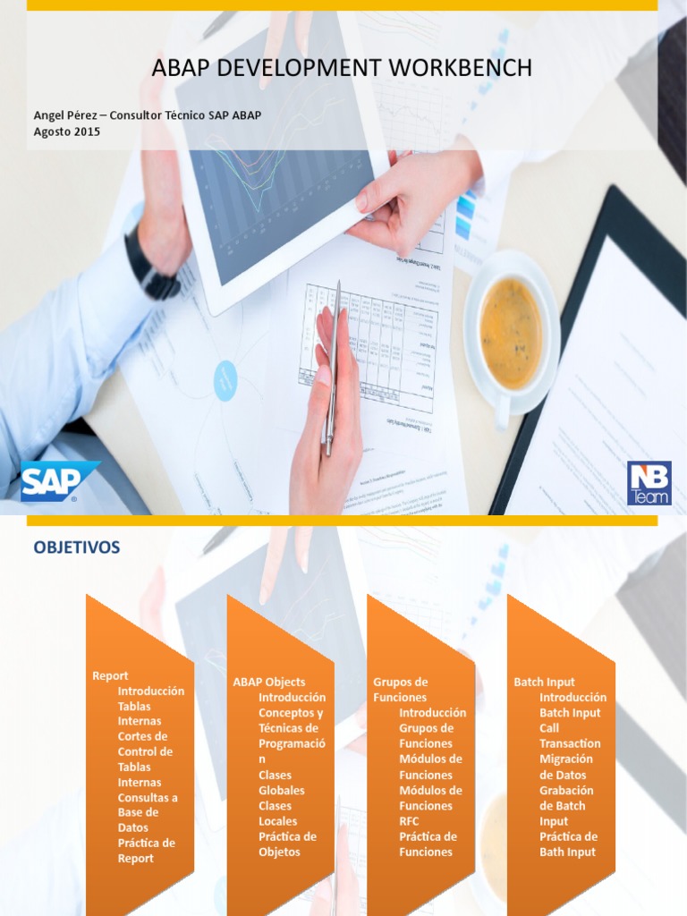 Batch Input en SAP: Guía Completa | PDF | Software | Tecnología digital