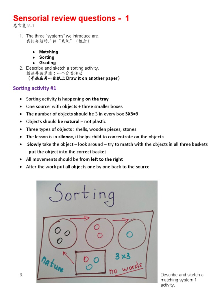 Montessori Sensorial Review Questions | PDF | Rectangle | Triangle