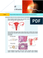 Reproduksi Wanita