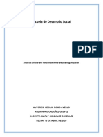 Análisis Crítico Del Funcionamiento de Una Organización