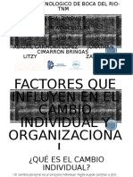 4.2 Cambio Organizacional e Individual