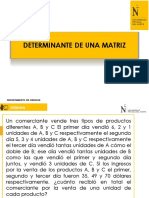 Semana 2 Determinantes Sel Comma 2020 - 1 PDF