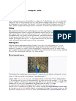 Geografia Indiei.pdf