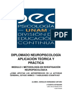 Breve Propuesta de Investigacion Neuropsicológica AMH PDF