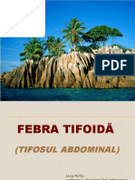 Febra Tifoida