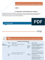 Paula Marmolejo Respuestas y Adaptaciones PDF