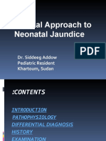 Clinical Approach To Neonatal Jaundice: Dr. Siddeeg Addow Pediatric Resident Khartoum, Sudan