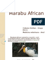 Marabu African