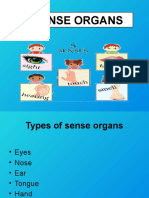 Sense Organs