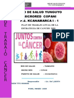 PLAN ANUAL CANCER 2020.docx