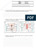 C.naturales 6