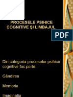 Procesele Psihice Cognitive Si Limbajul