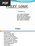 Fuzzylogic 2