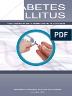 Protoc Diabetes Capacit 25 08 2012 PDF