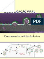 Aula - Multiplicação Viral