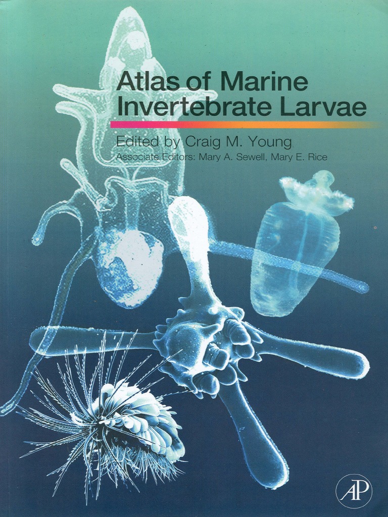 Atlas of Marine Invertebrate Larvae PDF | PDF | Crustacean | Zoology