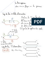 Leyes termoelectricas.pdf