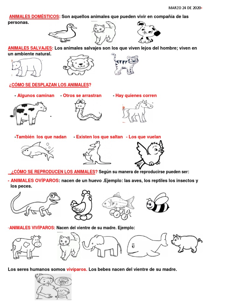 Tipos de animales y sus desplazamientos | PDF