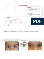 Ángulo kappa: definición, medición y tipos