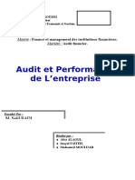 4062783-audit-et-performance-final.doc