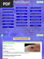 Download Indovax CD Poultry Diseases by Suraj_Subedi SN45899933 doc pdf