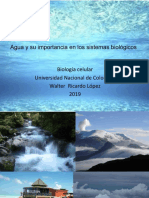 Agua y Carbohidratos PDF