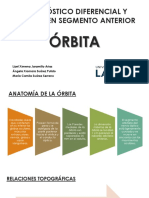 Diagnóstico Diferencial y Manejo en Segmento Anterior - Orbita PDF