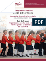 1. Guía del CTE Extraordinaria Marzo 2020.pdf.pdf