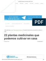 22 Plantas Medicinales Que Podemos Cultivar en Casa