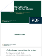 Patologia aparatului genital feminin
