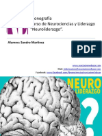 Monografia Neuroliderazgo Sandro - Martinez PDF