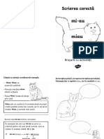 Fisa Miau Mi-Au PDF