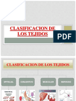 1.1 Clasificacion de Los Tejidos PDF