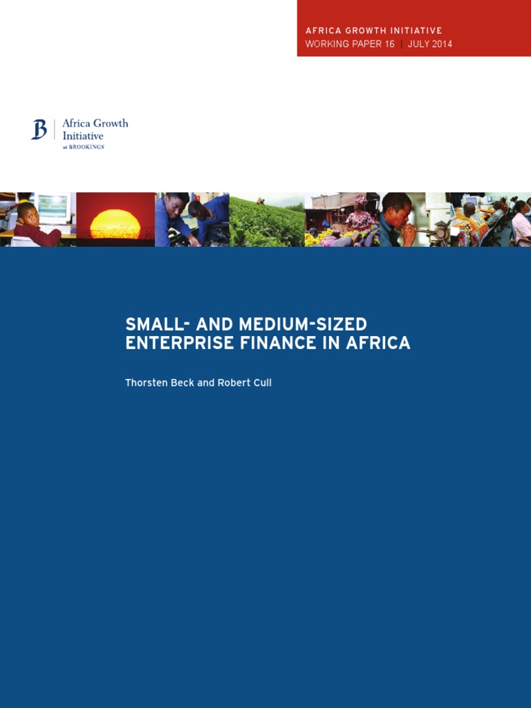 SME Finance Challenges in Africa | PDF | Small And Medium Sized ...