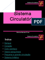 9.ppt.prof.15.sistemacirculatorio.pdf