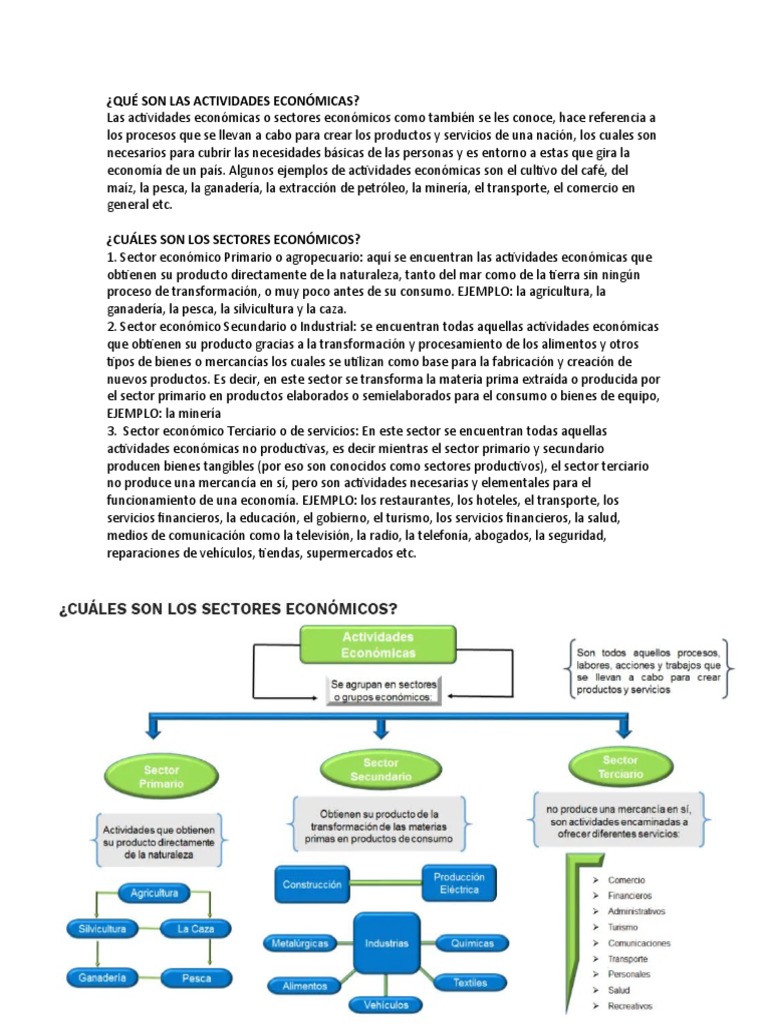 Qué Son Las Actividades Económicas | PDF