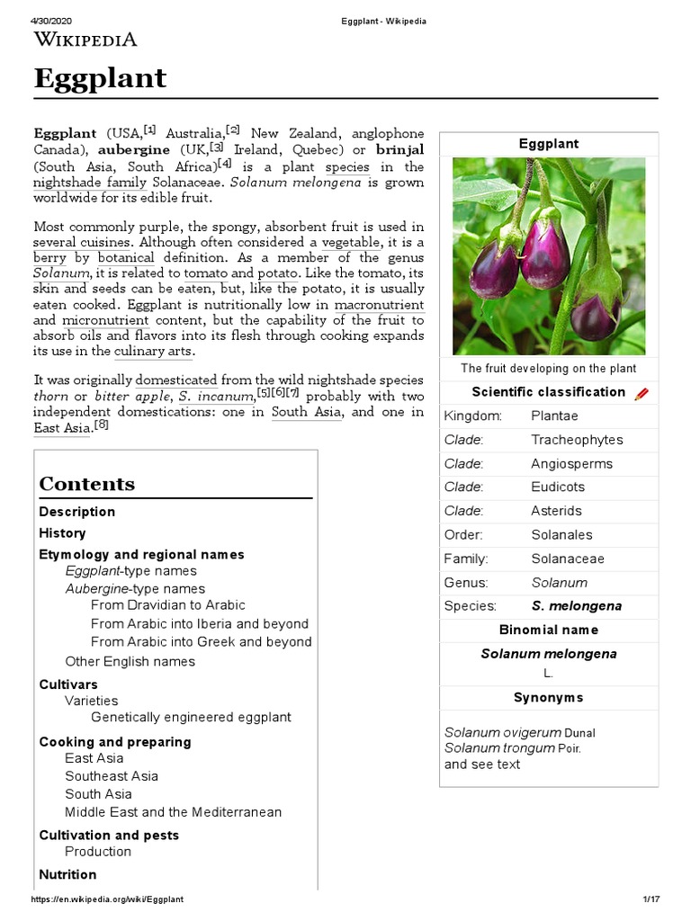 Scarlet eggplant - Wikipedia