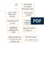 ROLURI-ÎN-CLASĂ.docx