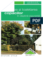 Taierea-copacilor.pdf