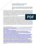 Estudio Canocc81nico de La Renuncia de Bxvi y de La Elecciocc81n de JMB